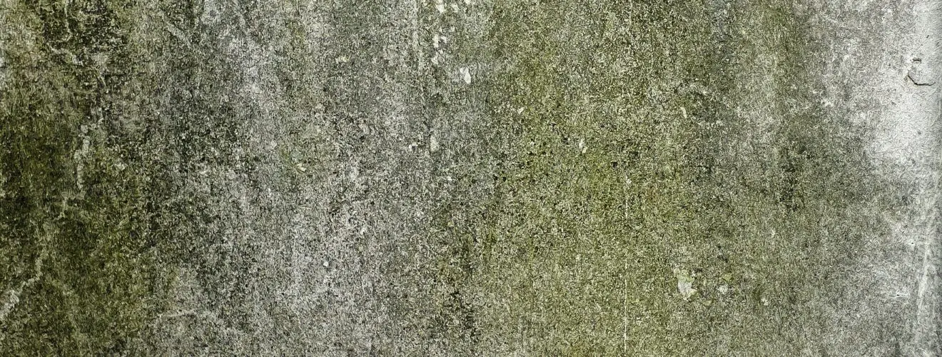 Feuchtigkeit Wasserschaden Schimmelgefahr